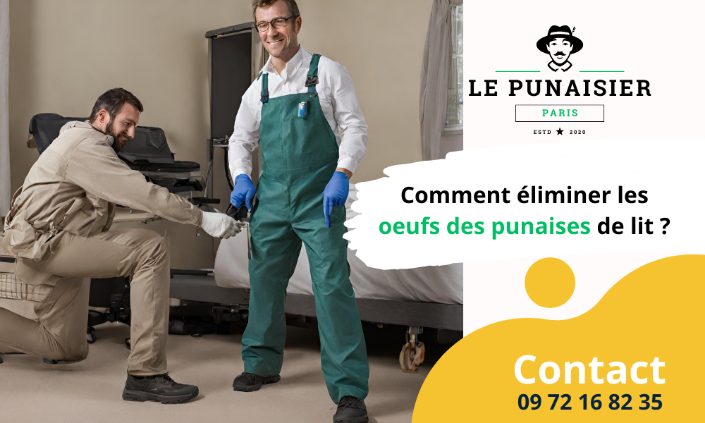 Comment éliminer les punaises de lit et leurs œufs sur un matelas