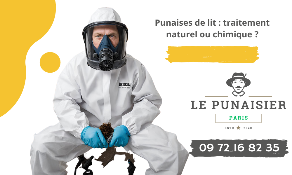 Quel insecticide utiliser contre les punaises de lit - Naturel ou chimique