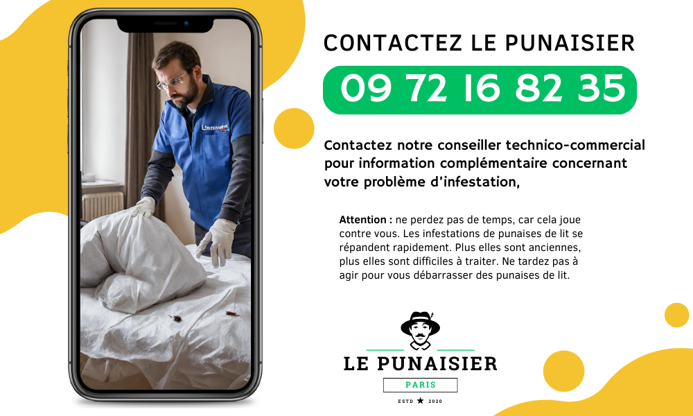 Symptômes de la présence de punaises de lit - Identification